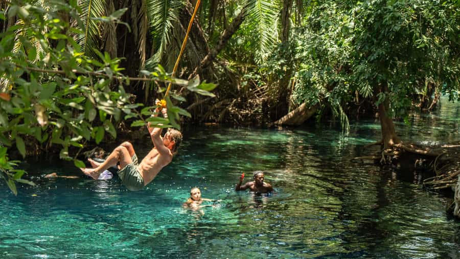 Arusha or Moshi : Hot Spring, Waterfall & Coffee Farm Tour - Swimming beneath an 80-meter cascade