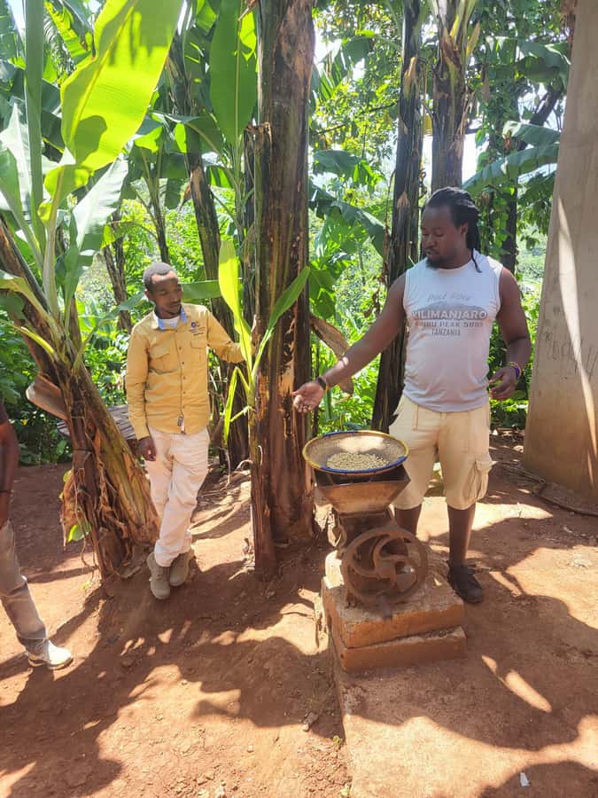Arusha or Moshi : Hot Spring, Waterfall & Coffee Farm Tour - Who should book this tour?