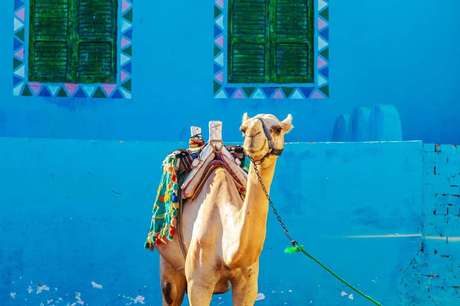 Aswan: Shared Half-Day Tour to the Nubian Village - A Realistic Look at the Village Experience