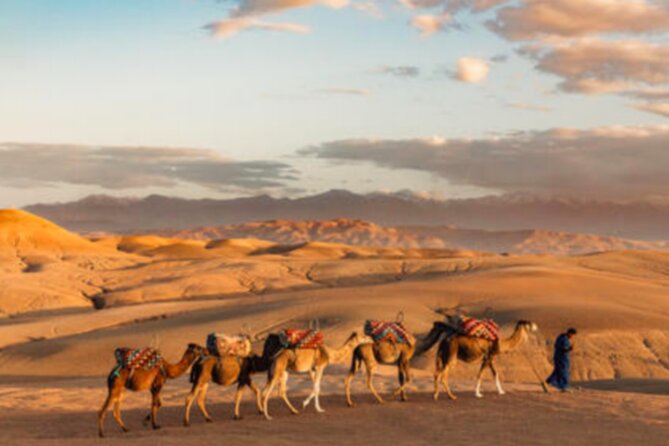 Atlas Mountains, 3 Valleys & Agafay Desert from Marrakech-DayTour - Lunch near Ait Souka and the value of an extra few euros