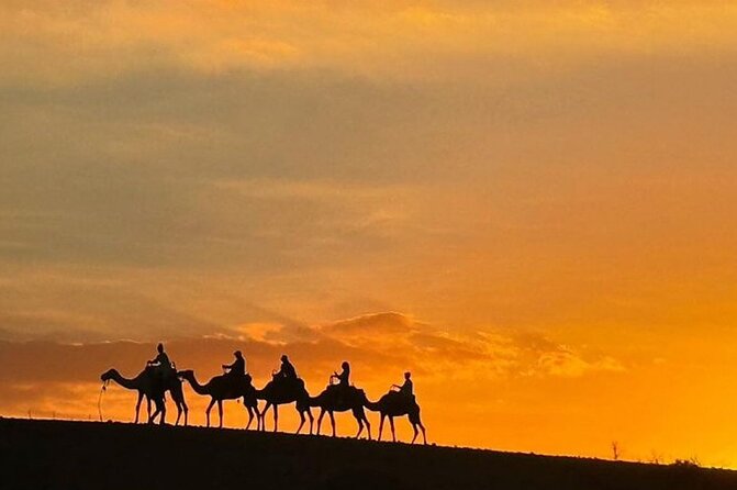 Atlas Mountains, Berber Villages and Three Valleys all inclusive - The argan oil cooperative stop