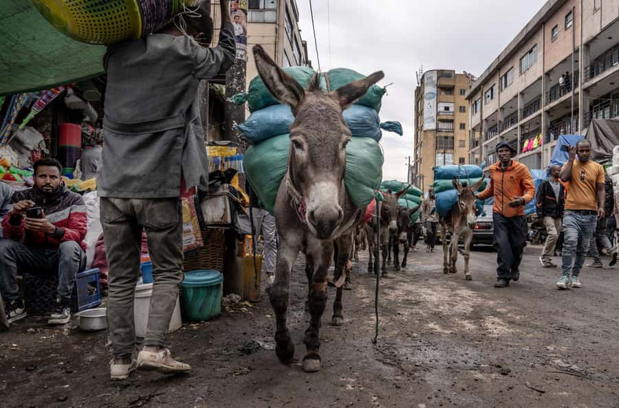 Authentic Addis Ababa City Tour with a Local Guide - Who should book this experience
