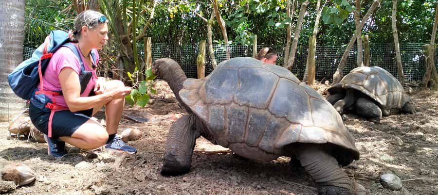 Authentic North East Coast E-bike Guided Tour - Hindu temples, a Creole village, and local tradition