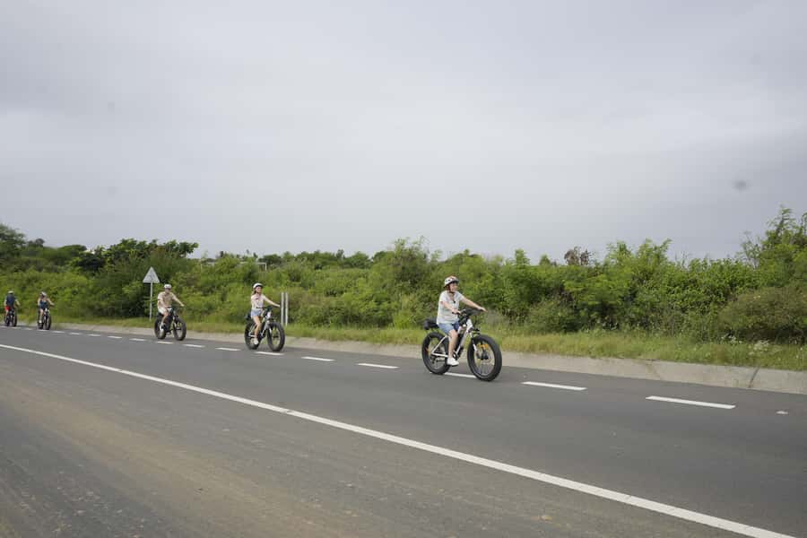 Authentic North East Coast E-bike Guided Tour - Local snacks and an authentic Mauritian lunch