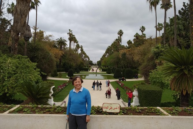 Best of Algiers Tour By Algeriatours16 - Notre Dame of Africa above the bay