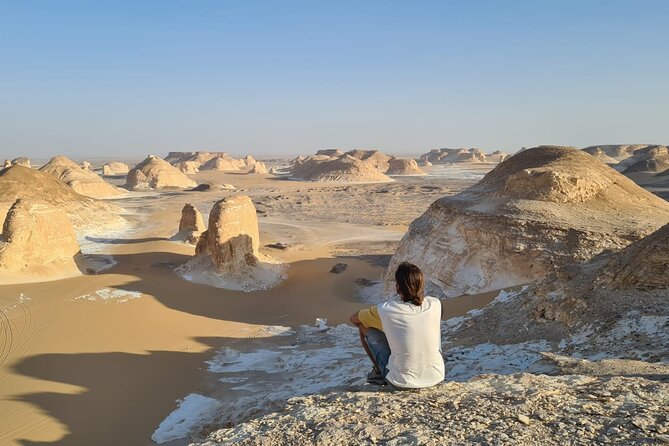 Black and White Desert and Bahariya Oasis Tour 2 Days 1 Night - Guides, safety, and the level of service