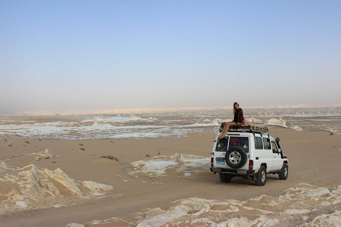 Black and White Desert and Bahariya Oasis Tour 2 Days 1 Night - Who should book this desert night