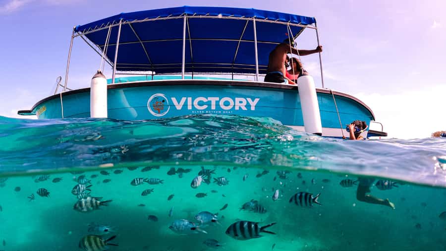 Blue Bay: Blue Bay Glass Bottom Boat Visit and Snorkeling - Is one hour enough?
