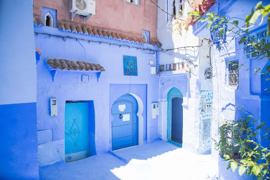 Blue City magic: Affordable Day Trip from Fez to Chefchaouen - What the $22 includes, and what it does not
