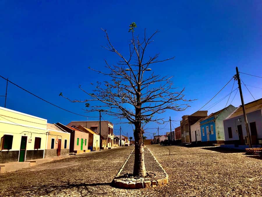 Boa Vista: Santa Monica, Dunes, Caves and Village 4x4 Tour - What the 4x4 ride is really like