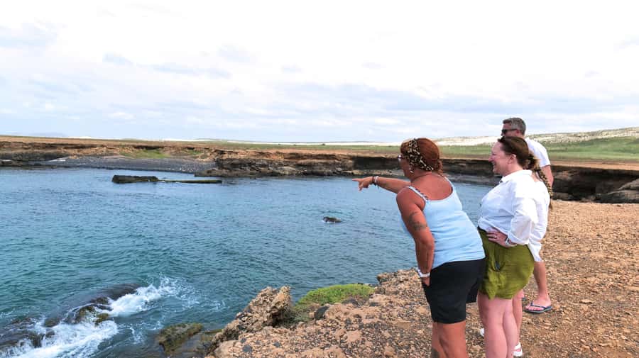 Boa Vista: Shark, Turtles, Cave, Sandboarding & Tasting Tour - Watching turtles in Turtle Bay