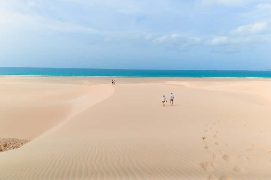 Boa Vista: Shark, Turtles, Cave, Sandboarding & Tasting Tour - Searching for lemon sharks at Shark Bay