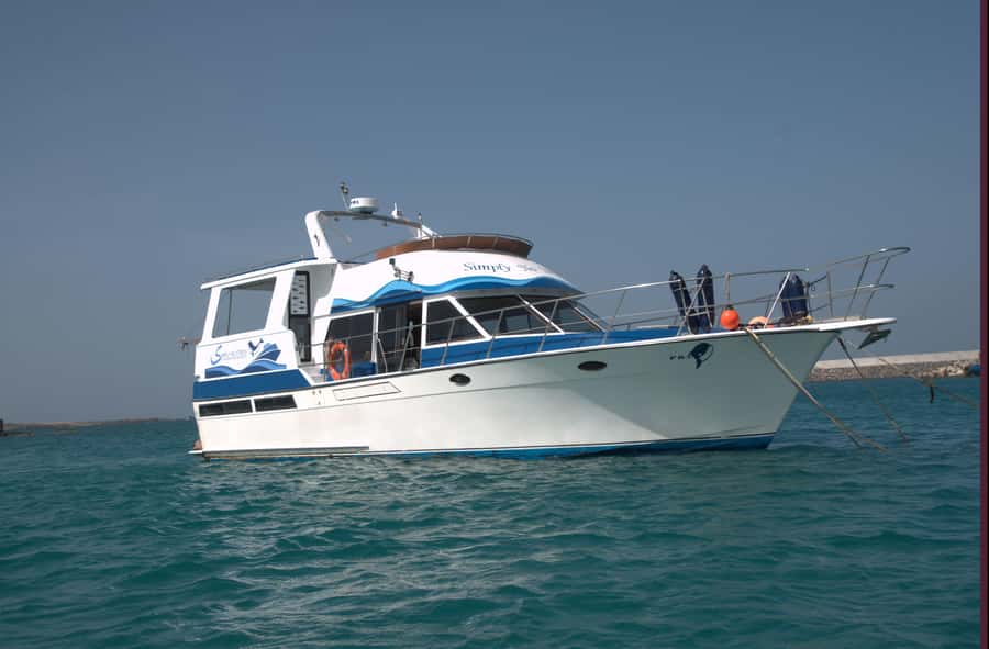 Boa Vista: Whale Watching Trip with Motoryacht - Who will enjoy this trip most