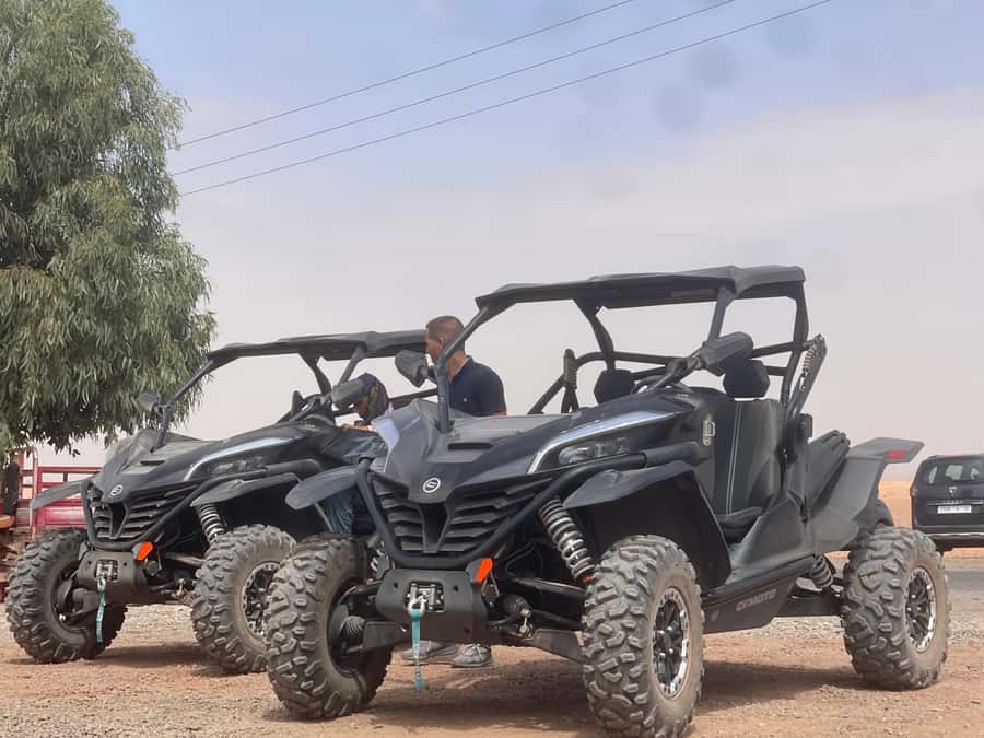 Buggy Marrakech Desert and Palmerie - Who will enjoy this most?