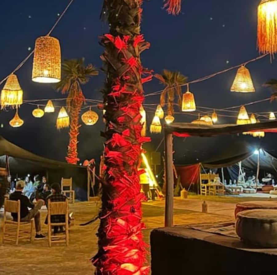 Buggy ride with camels and dinner show in agafay desert - Key things to know before booking