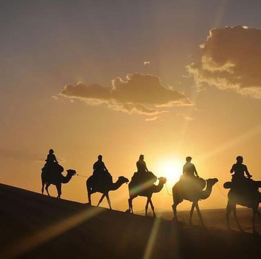 Buggy ride with camels and dinner show in agafay desert - The buggy ride across Agafay’s rocky tracks