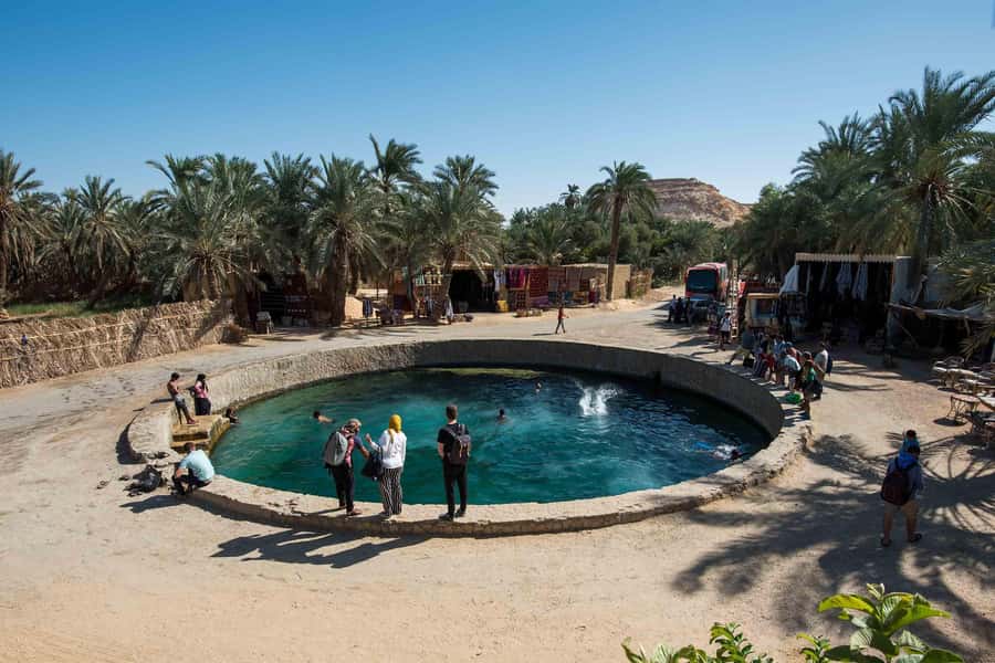 Cairo: 3-Day Siwa Oasis Tour, Safari, Camp & Historical Site - First evening at Siwa Oasis