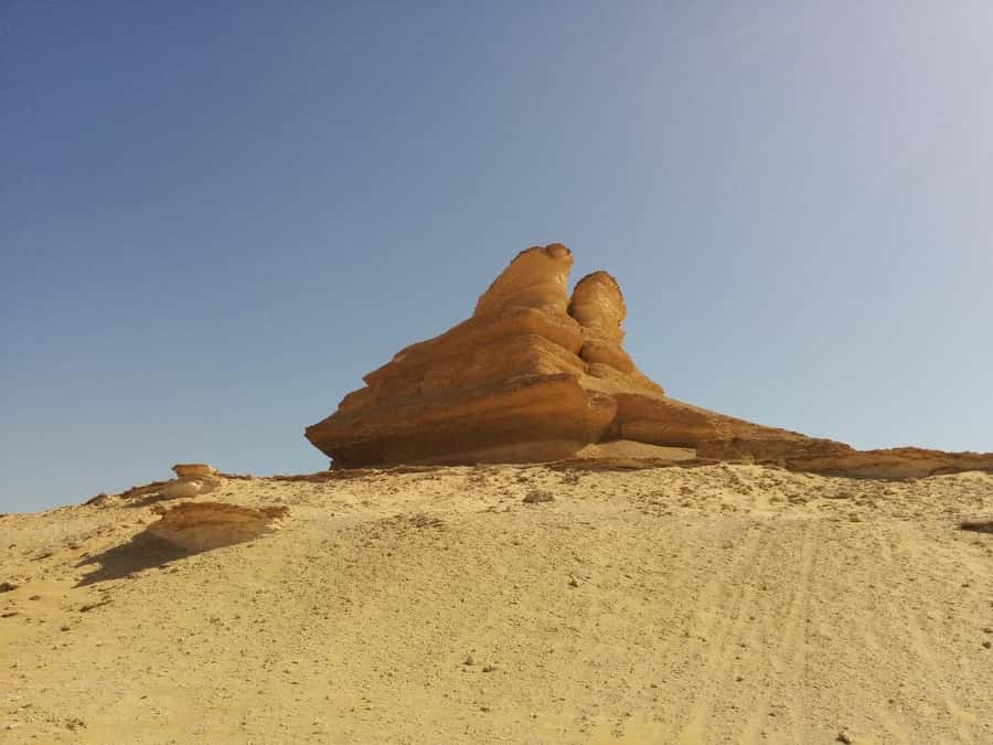 Cairo: Bahariya Oasis & White Desert A Private Day Adventure - The guides can shape the whole experience