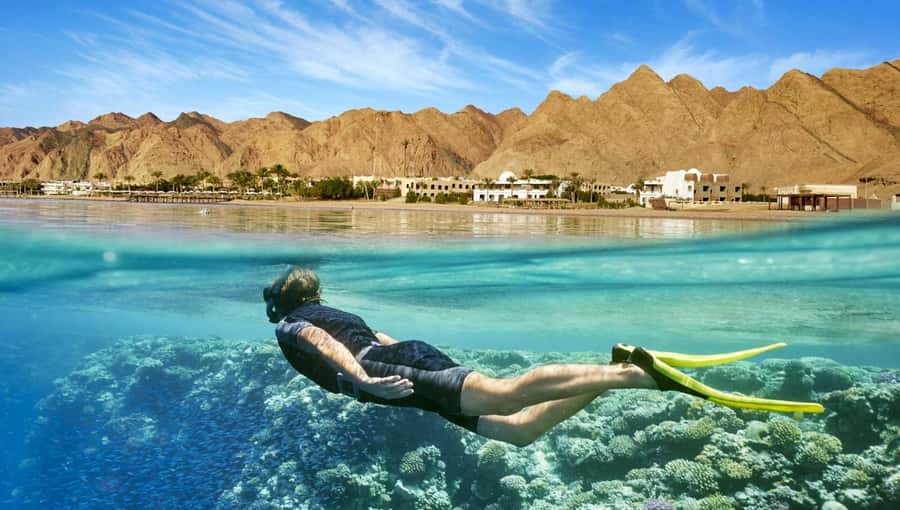 Cairo: Day Tour to the Red Sea with Lunch - Key points to know before booking