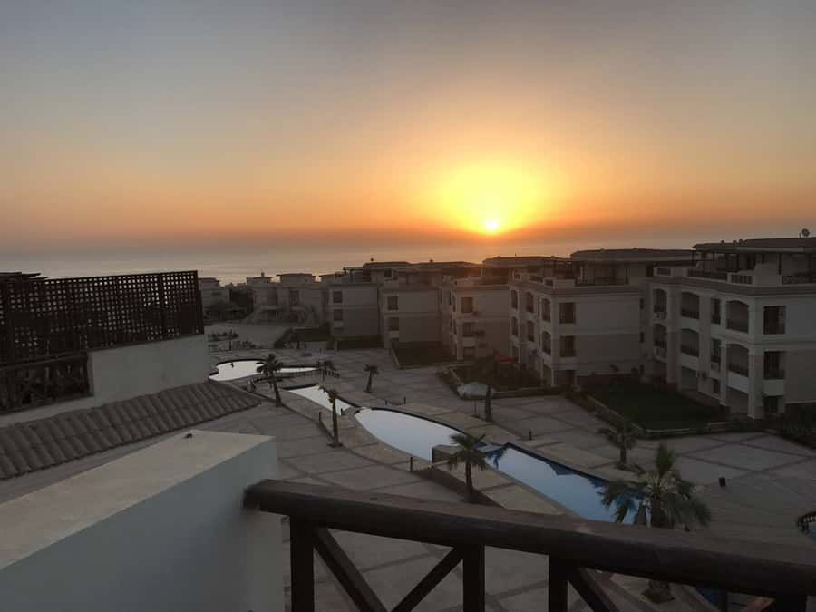 Cairo: Day Tour to the Red Sea with Lunch - Six hours by the Red Sea