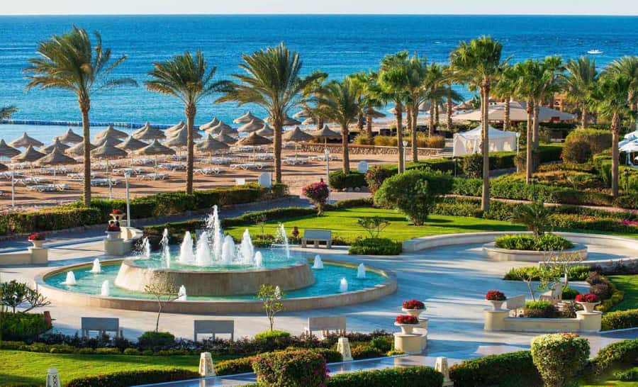 Cairo: Day Tour to the Red Sea with Lunch - The 7:00 AM pickup and private drive
