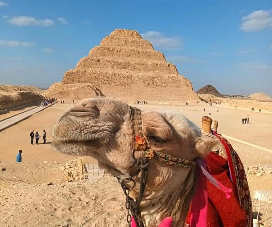 Cairo: Djoser, Bent Pyramid & Memphis Day Trip - Saqqara and the first great pyramid