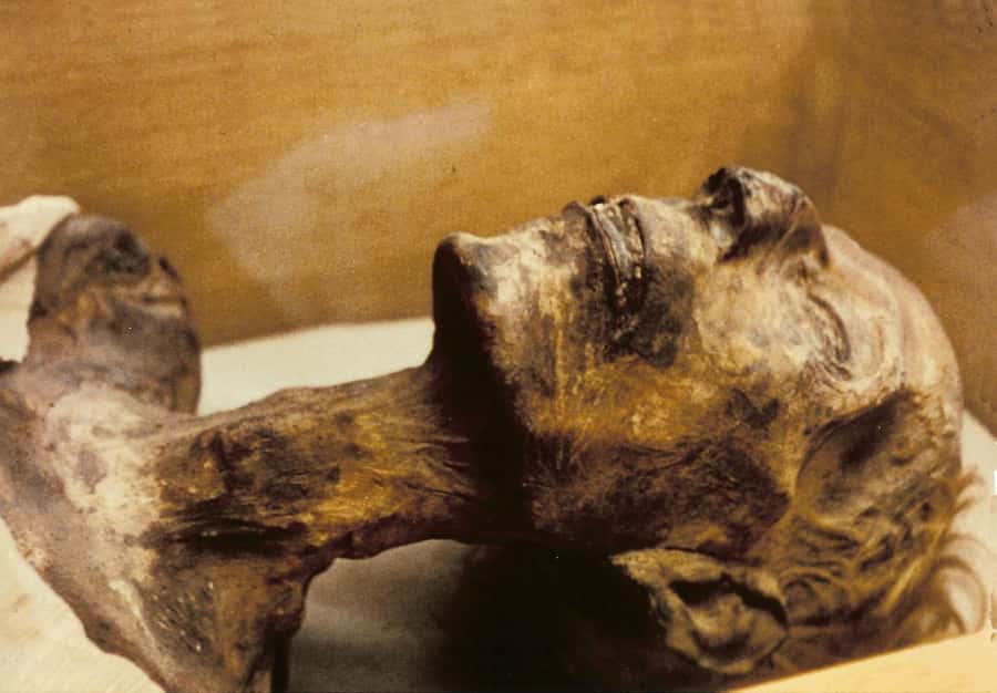 Cairo: Egyptian Museum 4-Hour Private Tour with Transfer - Is $60 per person good value?