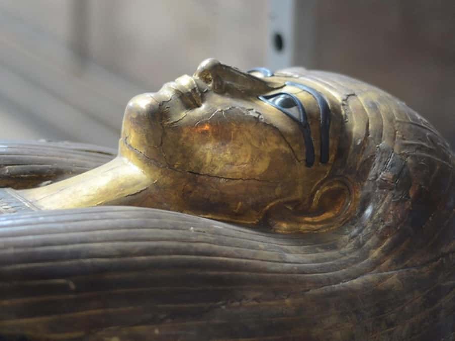 Cairo: Egyptian Museum, Citadel, and Old Cairo Guided Tour - Key points at a glance