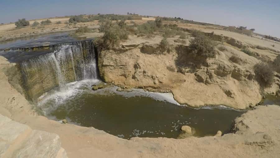 Cairo: Fayoum, Wadi El Rayan, and Wadi al Hitan 4x4 Tour - Key points before you book