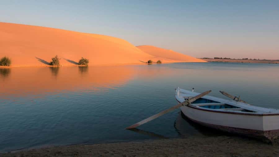 Cairo: Fayoum, Wadi El Rayan, and Wadi al Hitan 4x4 Tour - Magic Lake, Crystal Lake, and sandboarding