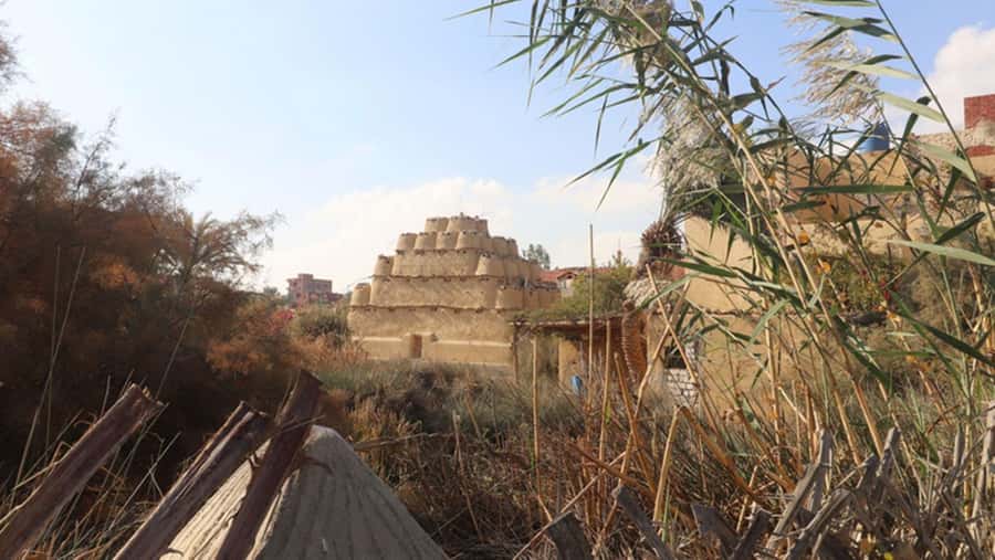 Cairo: Fayoum, Wadi El Rayan, and Wadi al Hitan 4x4 Tour - The private and shared options