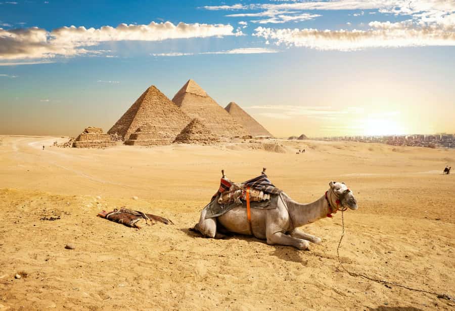 Cairo: Giza Pyramids, Memphis, Saqqara Private Tour & Lunch - Guides, Drivers, and the Private Experience
