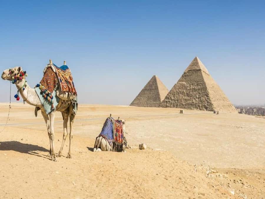 Cairo: Giza Pyramids, Sakkara & Dahshur All-Inclusive Tour - Should you book it?