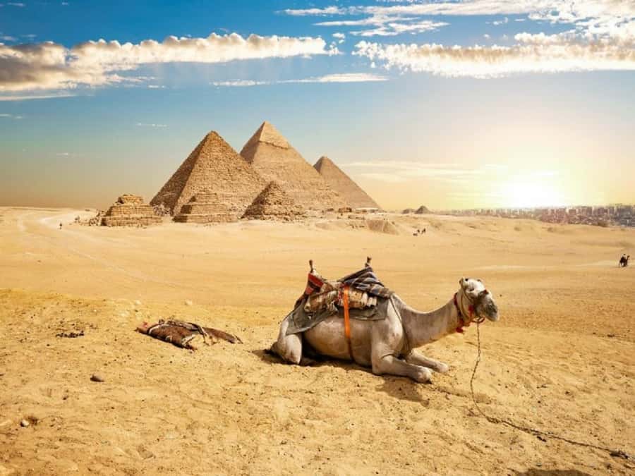 Cairo: Giza Pyramids, Sakkara & Dahshur All-Inclusive Tour - Who should book this Cairo pyramid tour