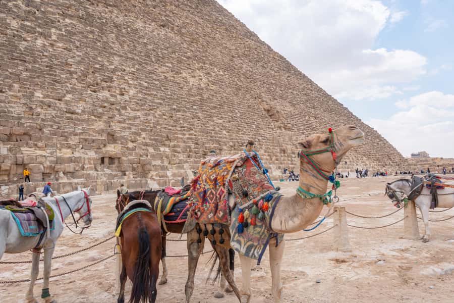 Cairo: Pyramids, Memphis, Sakkara & Dahshur Luxury Adventure - Lunch at a local restaurant