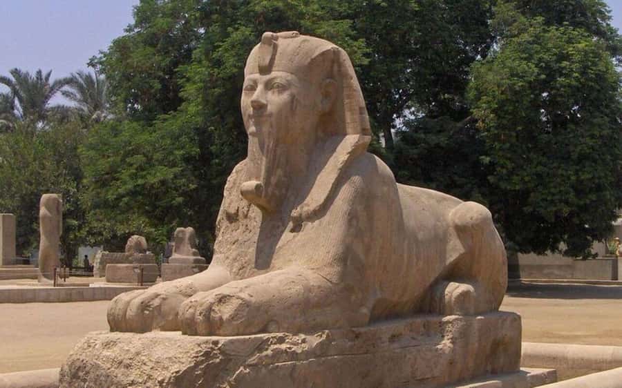 Cairo: Saqqara, Memphis, and Dahshur Day Trip with Lunch - Who should book this ancient-sites day trip