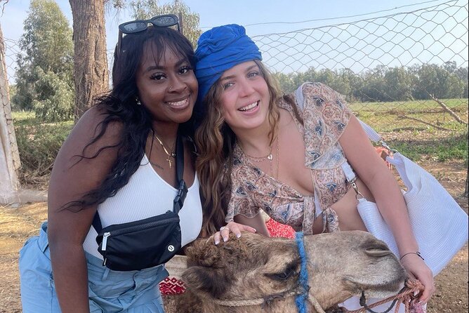 Camel ride in agadir at sunset with barbecue and couscous - Key points to know before booking