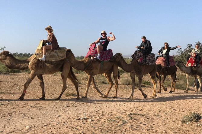 Camel ride in agadir at sunset with barbecue and couscous - Timing the sunset correctly