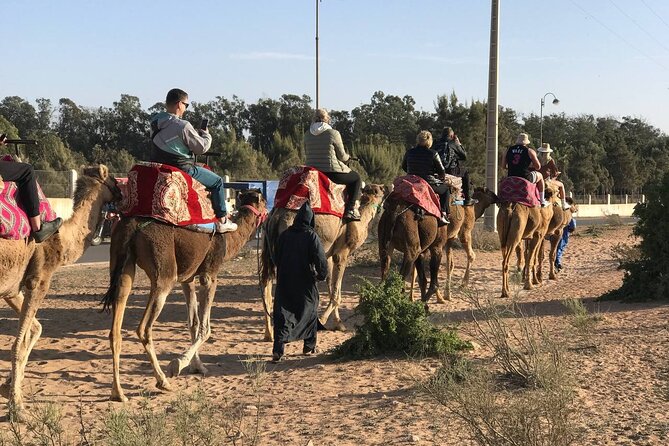 Camel ride in agadir at sunset with barbecue and couscous - Dinner with barbecue and couscous