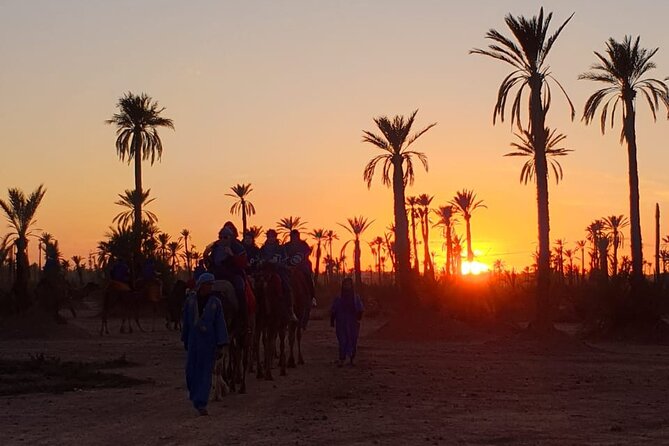 Camel ride Marrakech - What this Marrakech camel ride is really like