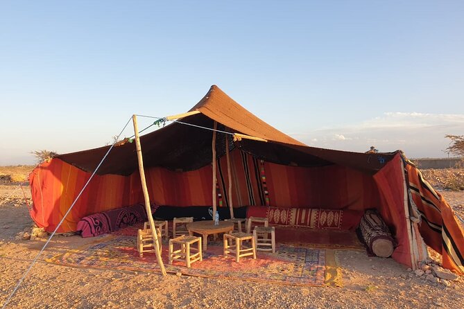 Camel ride Marrakech - The one-hour ride through the palms