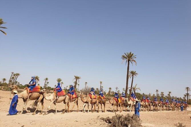Camel ride Marrakech - The guides add much of the personality