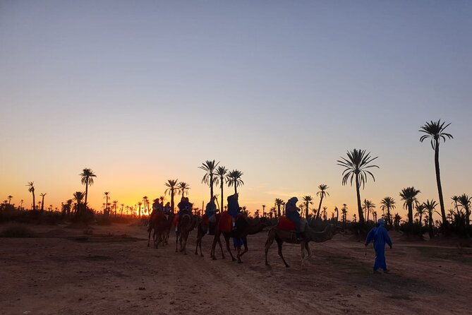 Camel ride Marrakech - Hotel pickup makes the start easier