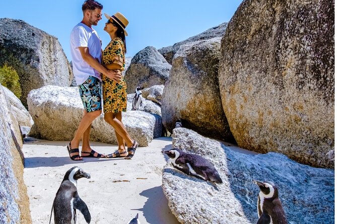 Cape of Good Hope & Penguins Small Group Tour from Cape Town - Starting in Cape Town and Bo-Kaap