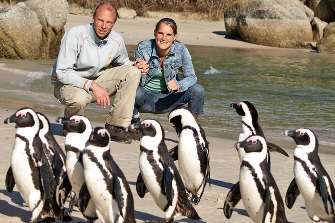 Cape of Good Hope & Penguins Small Group Tour from Cape Town - Atlantic Seaboard views at Camps Bay and Hout Bay