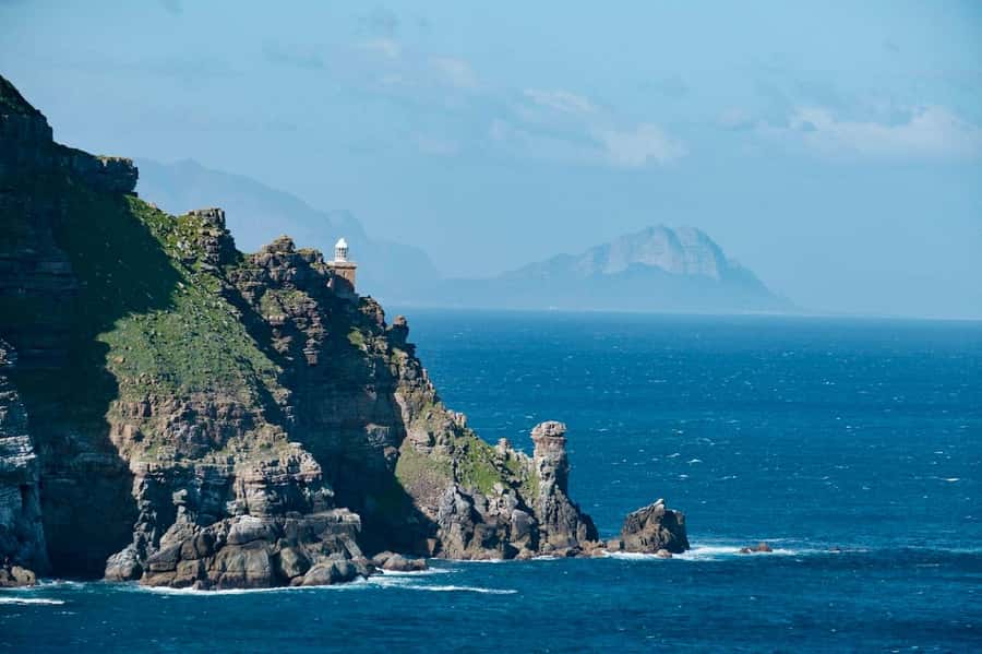 Cape Peninsula Shared Half-Day Tour - Key points at a glance