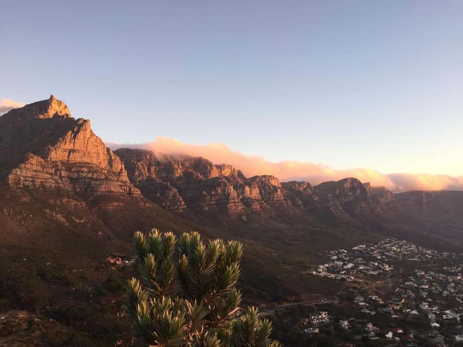Cape Peninsula Shared Half-Day Tour - Hout Bay and the engineering of Chapman’s Peak
