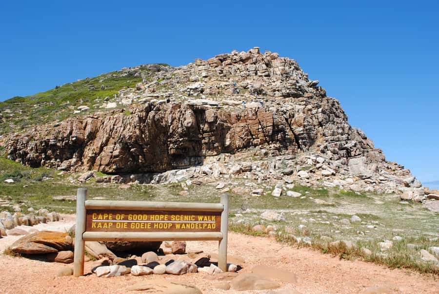 Cape Peninsula Shared Half-Day Tour - The guides make a real difference