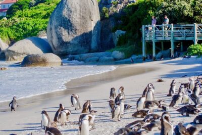 South Africa