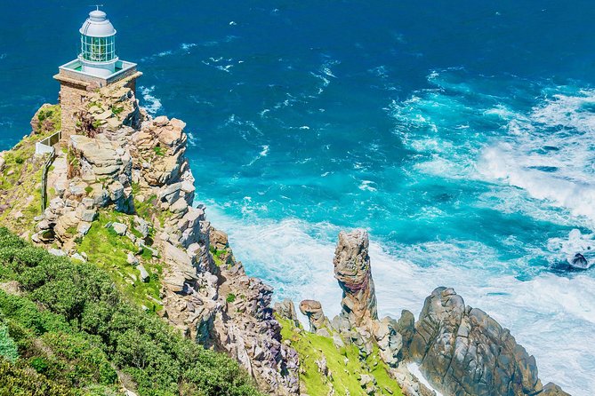 Cape Point and Boulder's Penguins Full Day Tour - Cape Point Nature Reserve brings the wildlife
